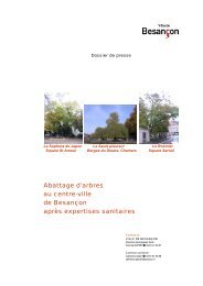 Abattage d'arbres au centre-ville de Besançon après expertises ...