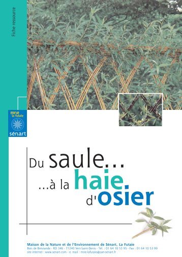 Du saule à la haie d'osier - San de Sénart