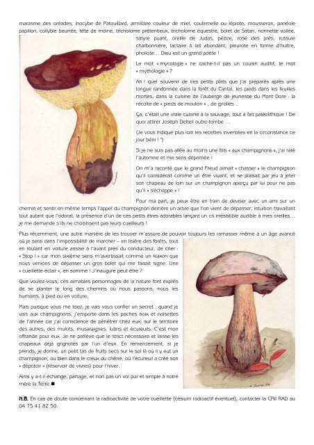 Les champignons