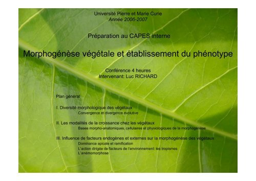 Morphogénèse végétale et établissement du phénotype - Université ...