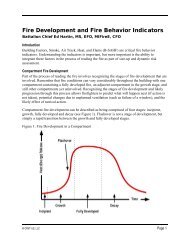 Fire Development and Fire Behavior Indicators - CFBT-US!