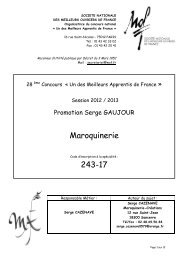 Maroquinerie 243-17 - Meilleurs Ouvriers de France