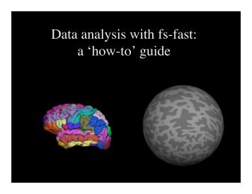 Data analysis with fs-fast: a 'how-to' guide