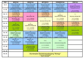 Stundenplan Bachelor 3. Sem WS 05-06-1 - HRZ Uni Marburg ...