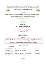 M AMRANI IMENE - DSpace - Université de Tlemcen