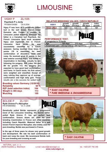 Offer of Limousine bulls.pdf, 748 kB - Natural spol. s ro