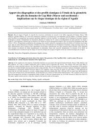 Apport des diagraphies et des profils sismiques à l'étude - Institut ...