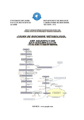 universite ibn zohr departement de biologie faculte des sciences ...