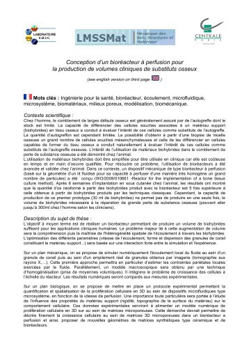 Conception d'un bioréacteur à perfusion pour la - Ecole Centrale Paris