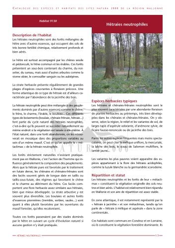 Hêtraies neutrophiles - La biodiversité en Wallonie