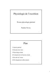 Physiologie rénale - Pauline Neveu