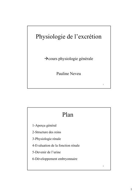 Physiologie rénale - Pauline Neveu