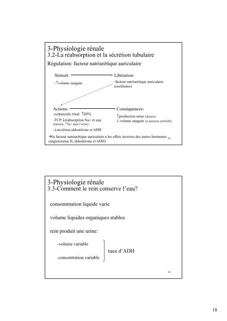 Physiologie rénale - Pauline Neveu
