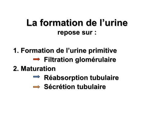 Débit sanguin rénal, filtration glomérulaire et leur régulation