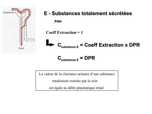 Débit sanguin rénal, filtration glomérulaire et leur régulation