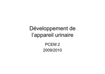 Développement de l'appareil urinaire