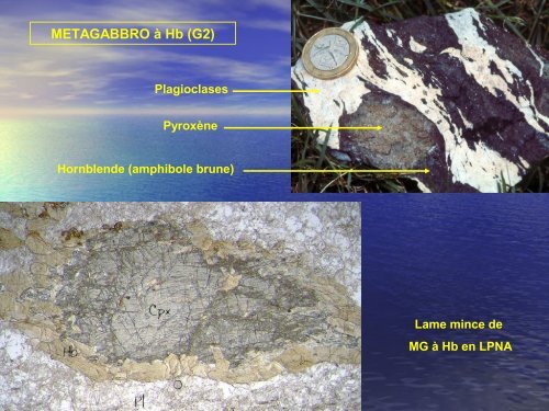 Zone de subduction