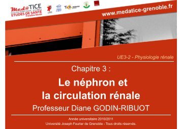 Le néphron et la circulation rénale - Université Virtuelle Paris 5