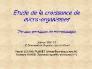 DOV TP Microbiologie Pascal SIRAND-PUGNET - UFR des ...