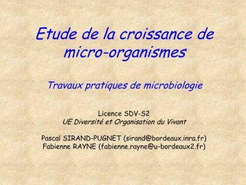 DOV TP Microbiologie Pascal SIRAND-PUGNET - UFR des ...