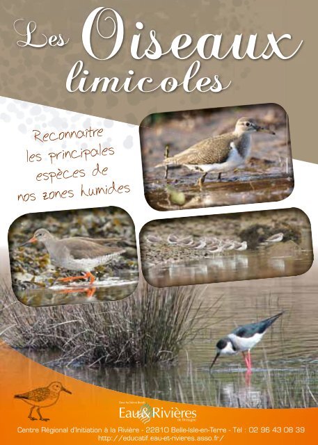 limicoles - Eau et Rivières de Bretagne