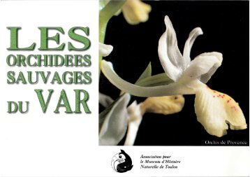 Orchidées du Var - Museum d'histoire naturelle de Toulon