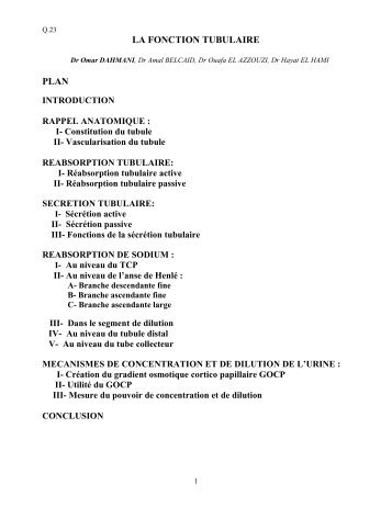 Physiologie rénale: fonction tubulaire - CHU Hassan II