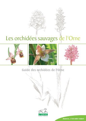 Plaquette Orchidée 2013.indd - Accueil - Conseil Général de l'Orne