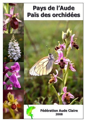 Pays de l'Aude Païs des orchidées