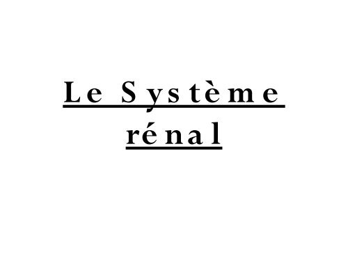 Le Système Rénal