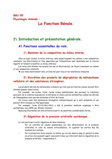 La fonction rénale