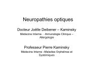 Neuropathies optiques - Pierre Kaminsky