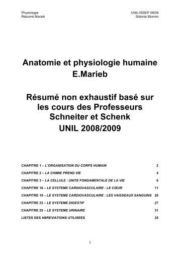 Anatomie humaine du ventre image Anatomie humaine du ventre image