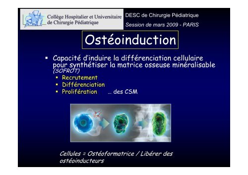Ostéo-induction - SOFOP