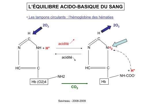 L'équilibre acido-basique du sang - UFR des Sciences de la Vie