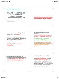 mecanismes moleculaires de conservation de l'information