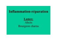 TP2 INFLAMMATION REPARATION bourgeon charnu abces - Free