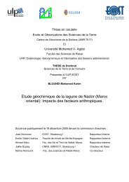 Etude géochimique de la lagune de Nador (Maroc oriental): Impacts ...