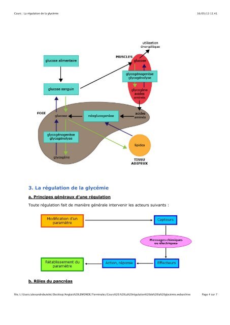 1. Hybridation et polyploïdisation