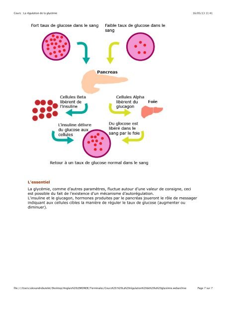 1. Hybridation et polyploïdisation