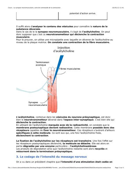 1. Hybridation et polyploïdisation