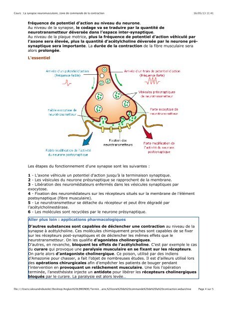 1. Hybridation et polyploïdisation