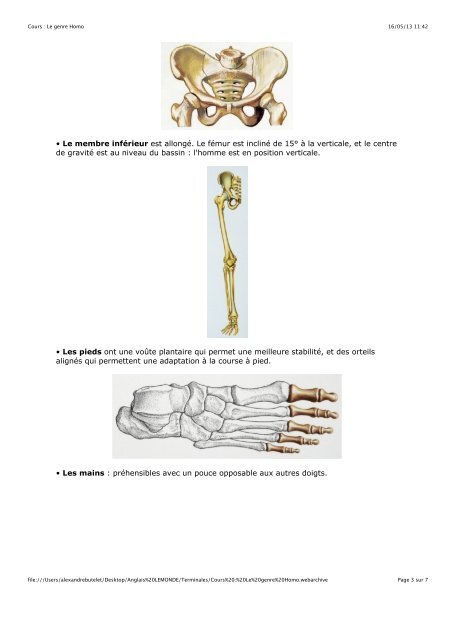 1. Hybridation et polyploïdisation