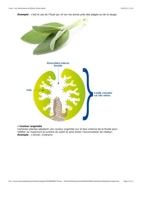 1. Hybridation et polyploïdisation