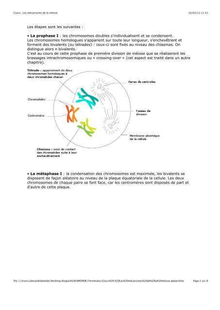 1. Hybridation et polyploïdisation