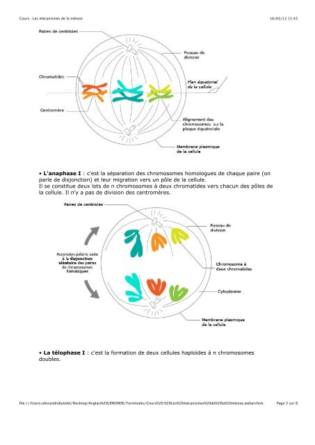 1. Hybridation et polyploïdisation