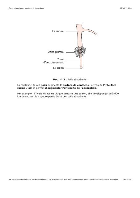 1. Hybridation et polyploïdisation