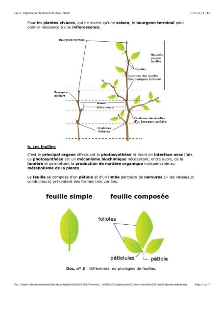 1. Hybridation et polyploïdisation