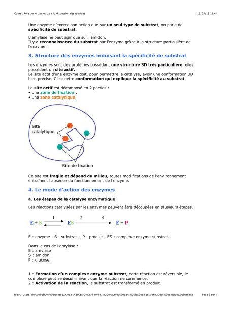 1. Hybridation et polyploïdisation