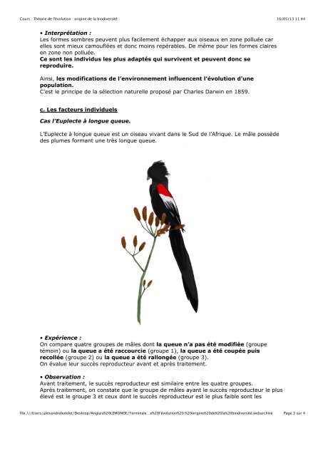 1. Hybridation et polyploïdisation